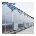 Multi Span Polycarbonate Greenhouses for Vegeatable Planting